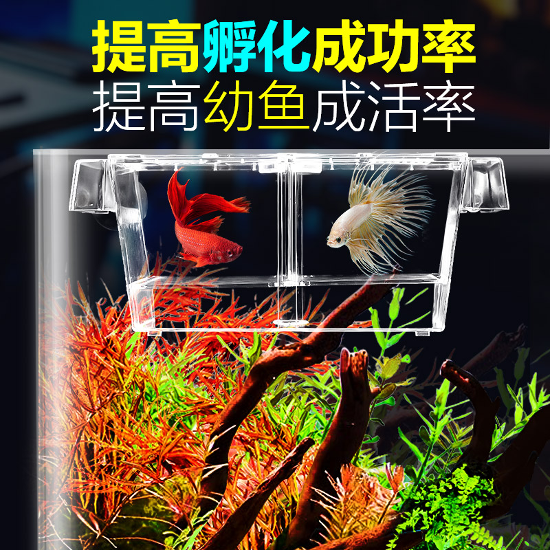 Crazy aquatic grass acrylic isolation box aquarium aquarium fish tank fry breeding box hatching box size number with lid