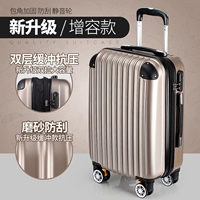 Цвет шампанского [двойной буферный буферный буферный антипарирь модели]