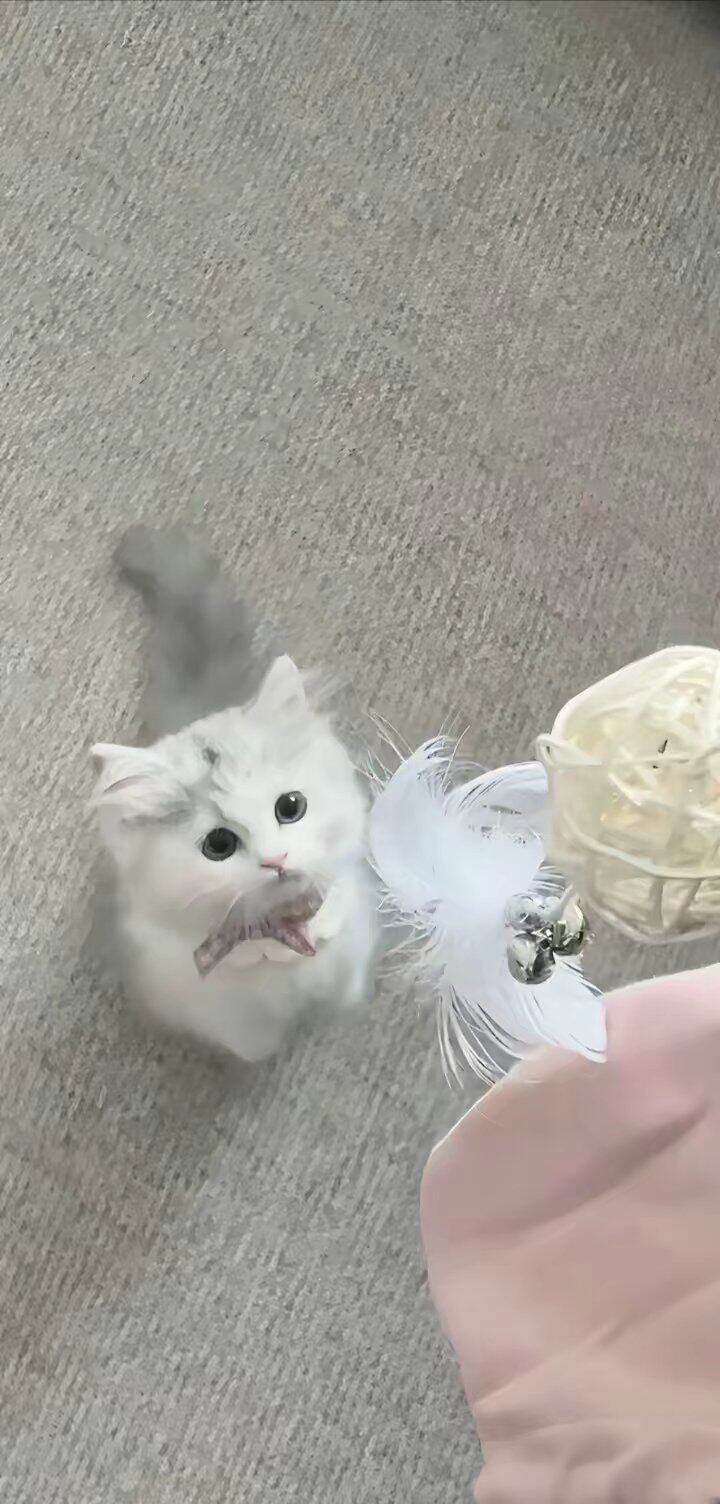 衣恋服装厂