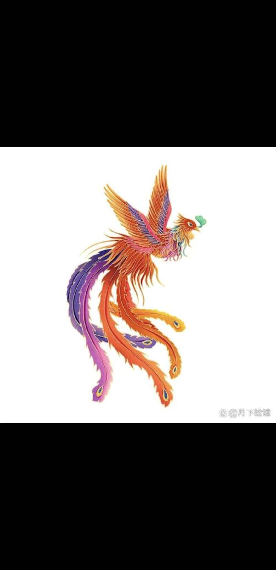 李福林茶业