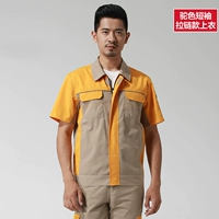 19 типов верблюжьего желтого желтого вставки молнии (вверху)