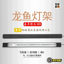 Arowana tank top light stand golden dragon red arowana hair color side lamp plate water plant sea tank T8T5 fluorescent lamp aquarium special
