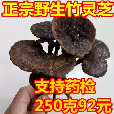 Bamboo Ganoderma lucidum Yunnan wild bamboo Ganoderma lucidum authentic wild pruning Ganoderma lucidum 250g bag nationwide