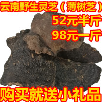  Yunnan wild thin tree zhi 250g tree ganoderma lucidum thin tree layer hole thin tree zhi can be sliced and ground 500g