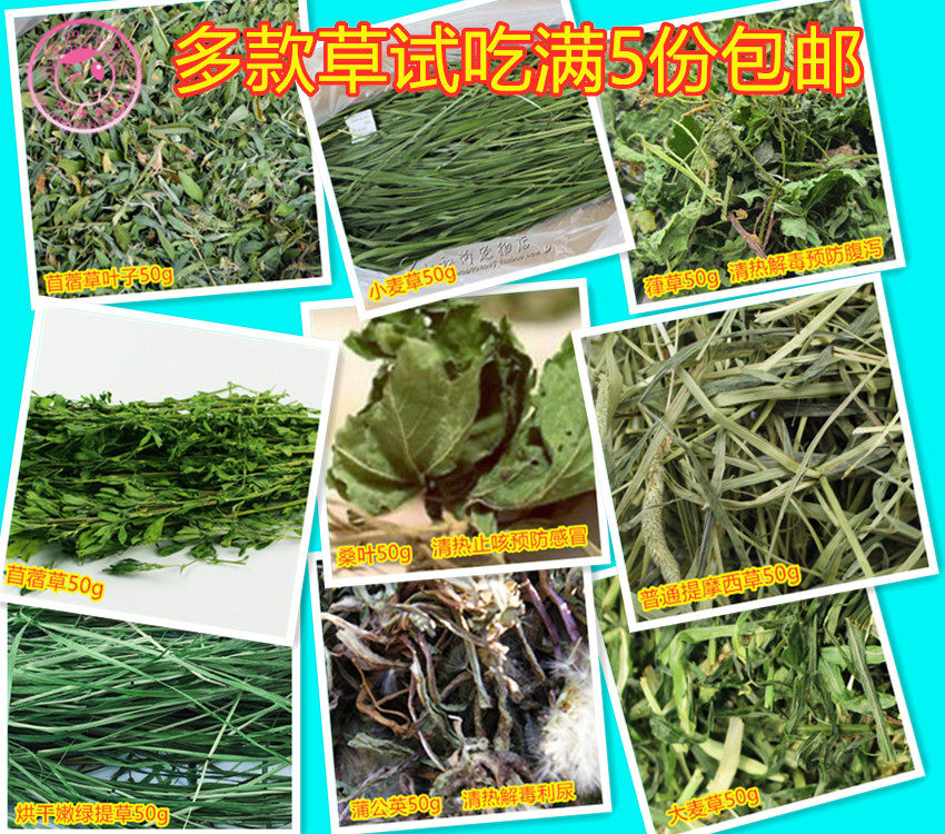 Pet rabbit Guinea pig Chinchilla Forage mulberry leaf Dandelion dried Timothy alfalfa leaf Barley grass Try