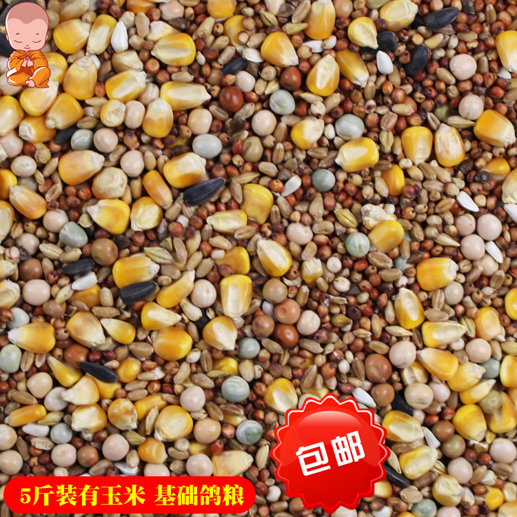 5 catties equipped with corn base dove mix of nutritional feed turtledove Geon Watching Pigeon Meat Dove