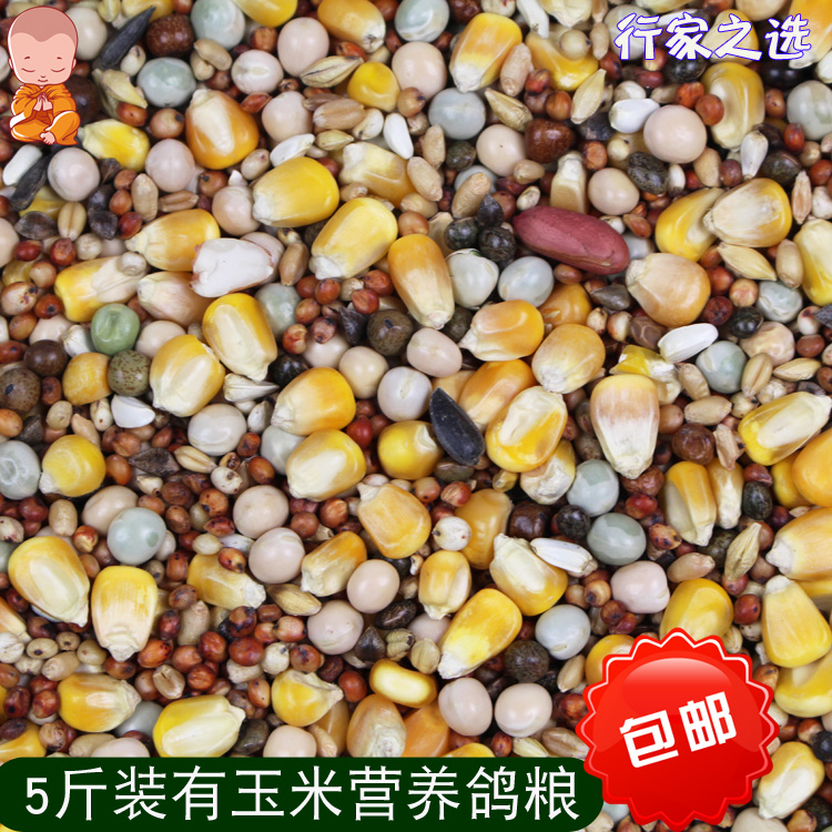 5 catts equipped with corn dove food racing Nutrient Feed Bird Eating pigeon Geon Watch Pigeon Food Pigeon Food