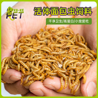 Live mealworms, mealworms, pet live feed