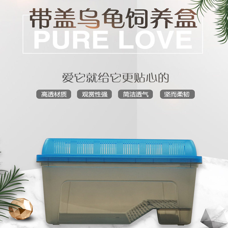 Climbing horn frog salamander amphibious tank with tank tree frog frog eye guard box plastic box