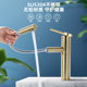 304 Stainless Steel Washbasin Pull-Out Faucet Bathroom Single-Hole Washbasin Hot and Cold Rotating Faucet
