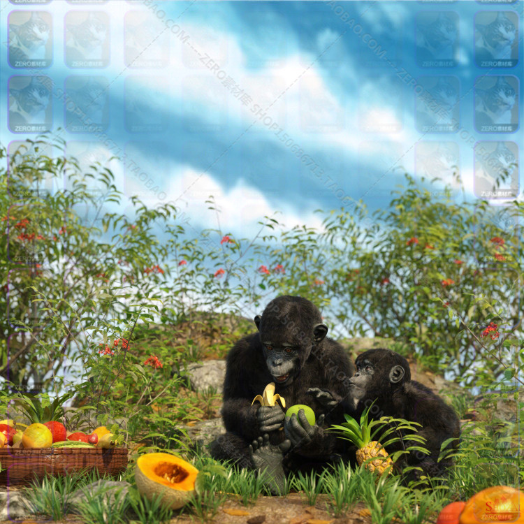 图片[14]-J3741 daz3d模型 猩球崛起动物高精度写实黑猩猩设计素材IM包 G8-cg男孩