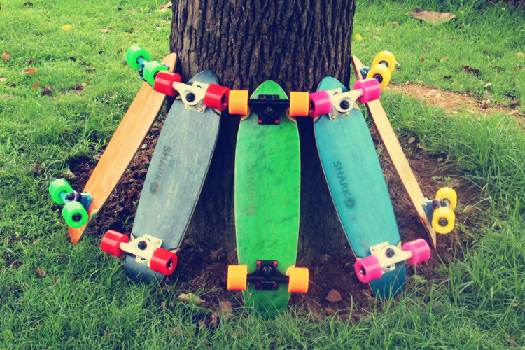 Skateboard pour homme femme enfant       - Ref 2594042 Image 7