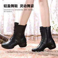 赛彩 Туфли, сапоги, утепленная танцующая обувь, 2020, из натуральной кожи, мягкая подошва