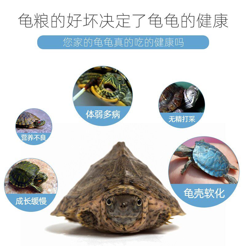 🐢龟龟们的幸福粮仓!三友创美龟粮,让观赏龟和巴西龟爱上每一餐!🌟-观赏龟/鳖饲料-淘宝好物网