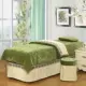 Mới gia đình cao cấp bốn dày chenille bedspread vẻ đẹp thẩm mỹ viện massage dành riêng màu giường bộ - Trang bị tấm