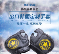 Export to South Korea original single motorcycle electric car warm gloves
