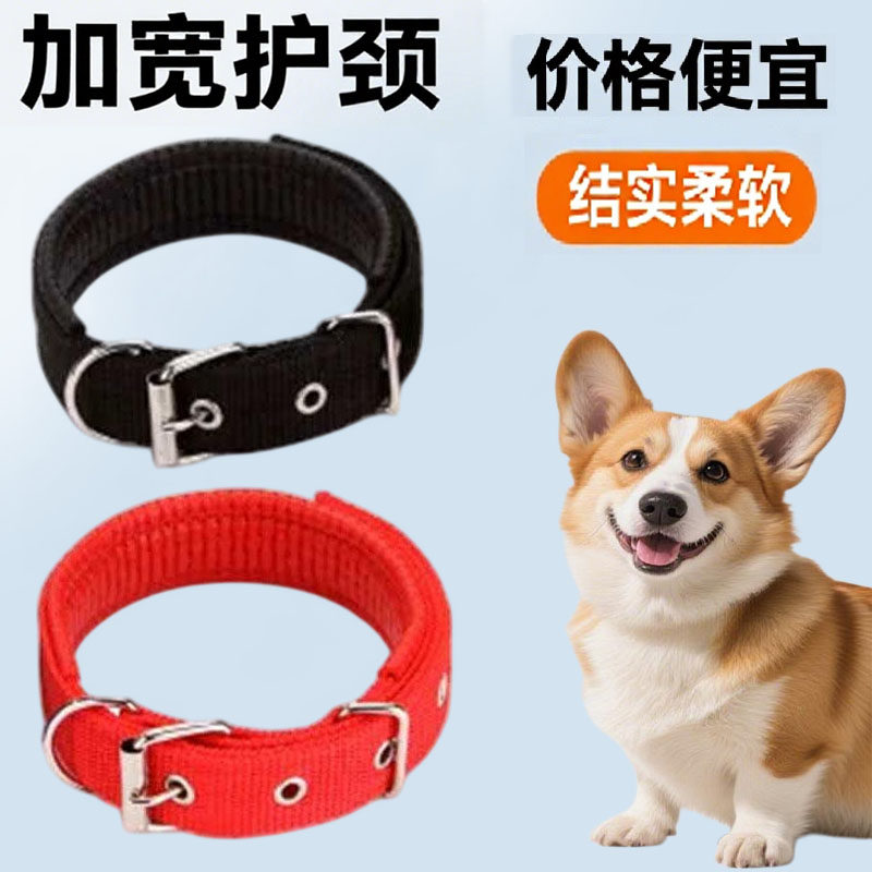厚手の犬用首輪、犬用首輪、小型雑種犬用、子犬用首輪、リード、ペット専用大型犬用