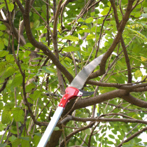 Japanese original imported high-altitude saw all aluminum alloy garden tools fruit tree saw pruning shears Telescopic High-branch saw