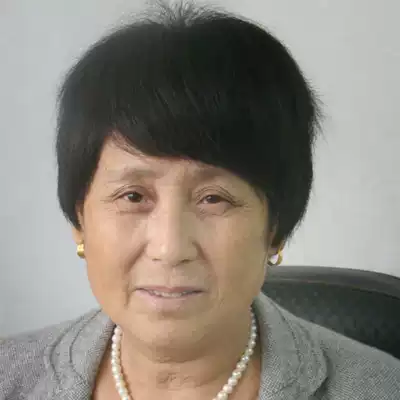 Full hand-woven real hair set whole wig Lady middle-aged wig real hair silk streak no trace short straight hair