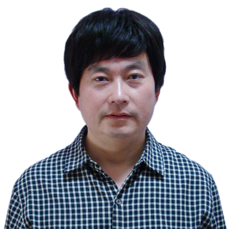 litaihair middle-aged wig male short hair successful men's wig real hair wig send dad