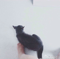 make up the difference