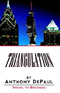 【预售】Triangulation