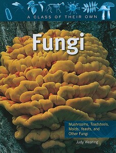 【预售】Fungi: Mushrooms, Toadstools, Molds, Yeasts, and