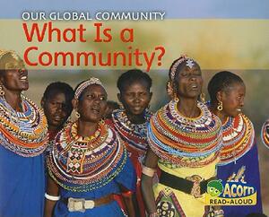 【预售】What Is a Community?