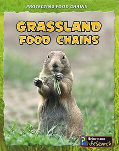 【预售】Grassland Food Chains