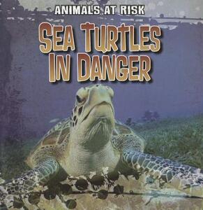 【预售】Sea Turtles in Danger