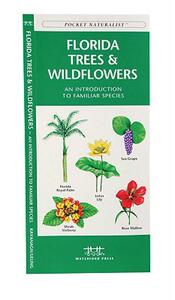 【预售】Florida Trees & Wildflowers: An Introduction to