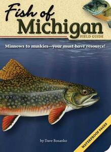 【预售】Fish of Michigan Field Guide