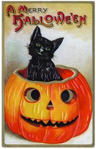 【预售】Black Cat Emerging from Jack-O-Lantern Halloween