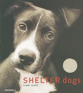 【预售】Shelter Dogs