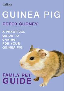 【预售】Guinea Pig: A Practical Guide to Caring for Your