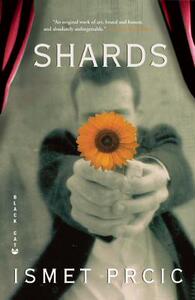 【预售】Shards