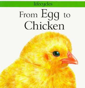 【预售】From Egg to Chicken