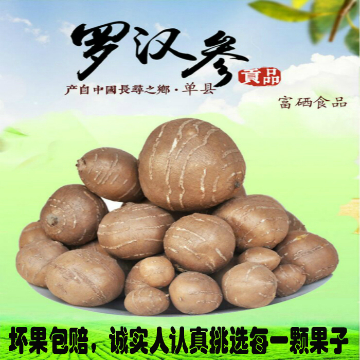 (Extra small fruit) Shanxian Luohan ginseng gold thread gold wire hanging gourd Haimen taro ground chestnut soil Luaner
