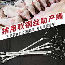 Pig used beast with midwifery rope stainless steel wire rope difficult to produce drag and pull rope midwifery pliers small pig midwifery