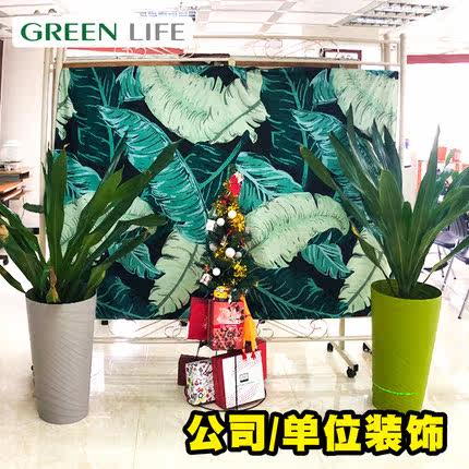 Italian imports DEROMA twill resin Indoor hotel annual pin decoration flower pots high 60cm manufacturers direct