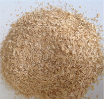 Edible wheat bran Fresh wheat bran Wheat bran chicken bug feed Fishing coarse wheat bran Hot bran powder