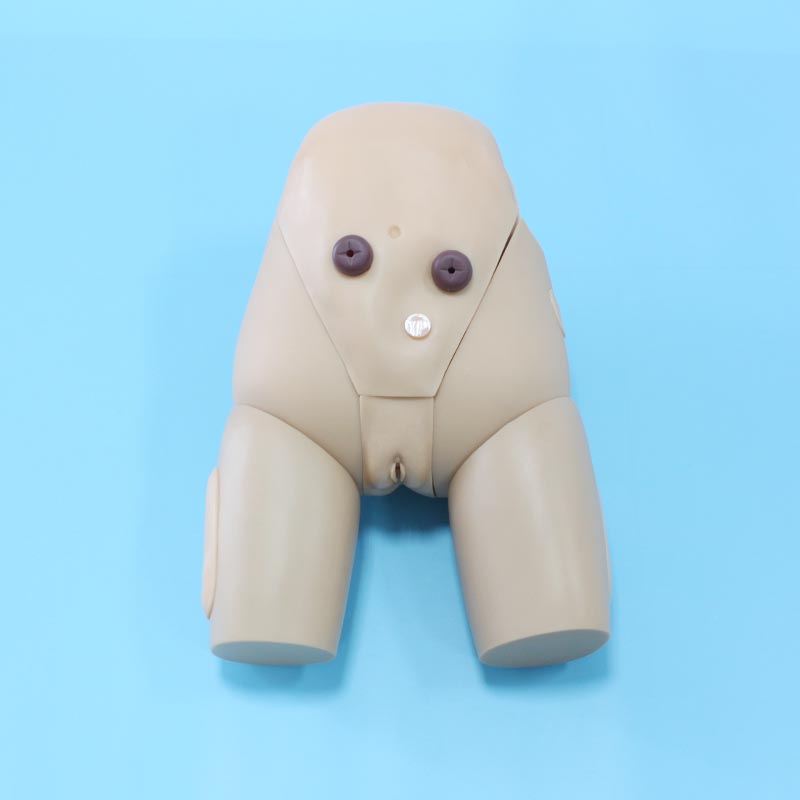 高级女性导尿训练模型