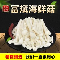 Fresh water seafood mushrooms vacuum 10 kg of fungi Edible wild mushrooms braised vegetables Cold vegetables Raw materials Vegetarian dishes Malatang