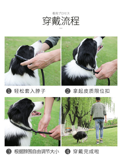 Dog Leash for Medium and Large Dogs, Husky P-Chain 1.6m Labrador Golden Retriever Dog Walking Leash