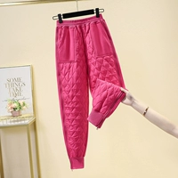 Роза красная