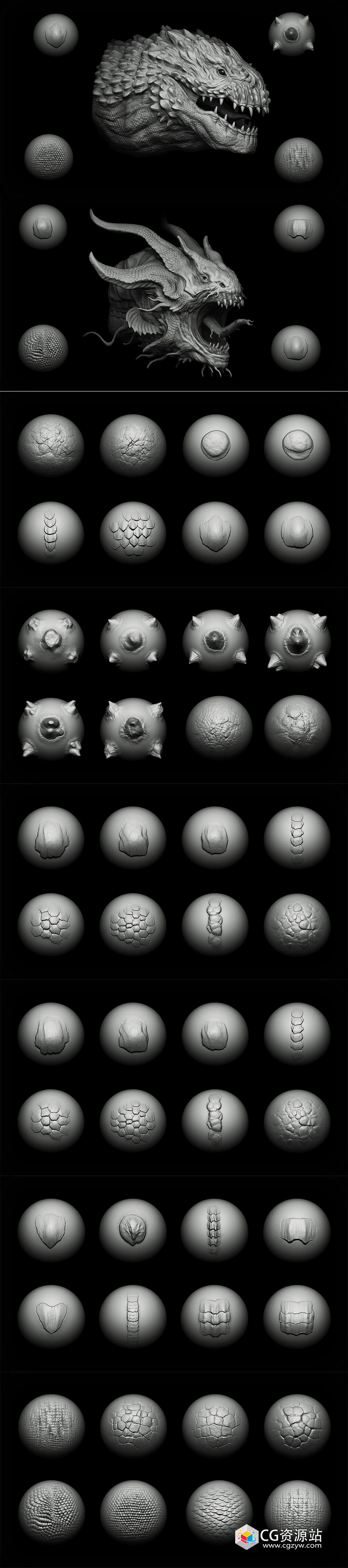 40 scales and skins brushes