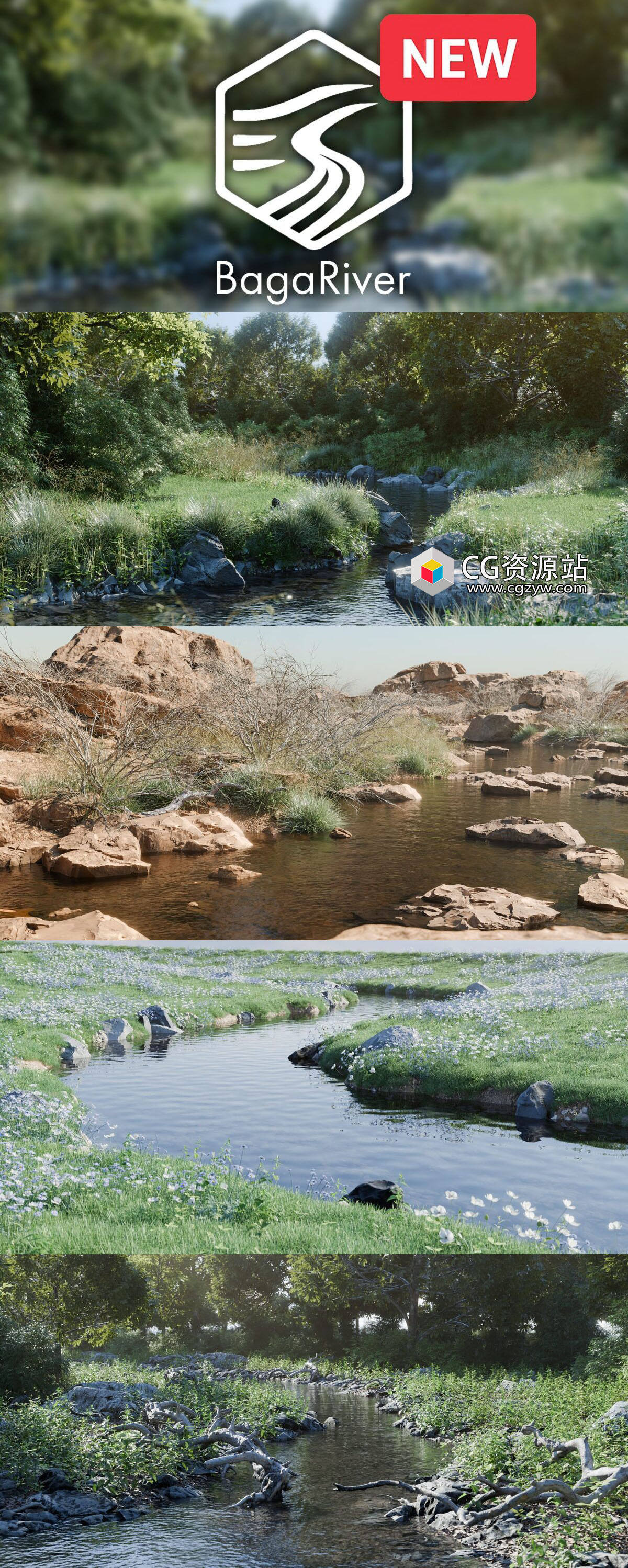 image_processing20250527-2-blvstp.jpg