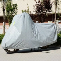 Серый (без уха)