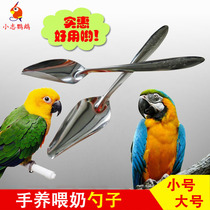 Parrot milk powder feeding tool Feeding thermometer Spoon Spoon feeding device Milk thermometer Young bird chicks supplies