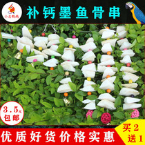 Cuttlefish bone hanging string Xuanfeng tiger skin peony parrot calcium molar gnawing toy Squirrel bird Food utensils